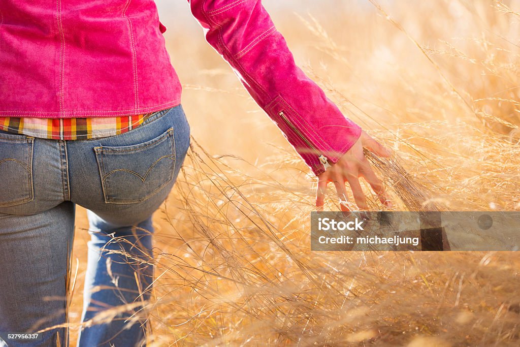 young woman walking in autumn field rear view of young woman walking in autumn field and touching grass Adult Stock Photo