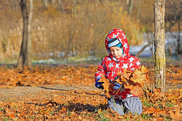 istock little boy playing with autumn leaves 527957597