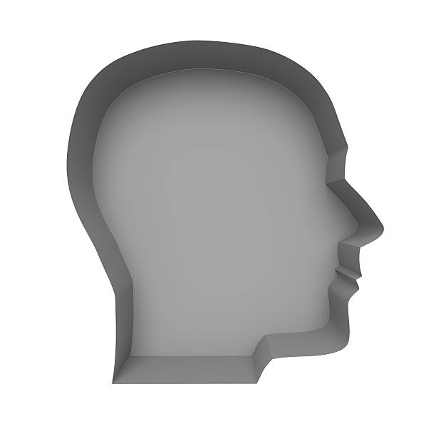 istock Profile of a human face on a white background. 527958415