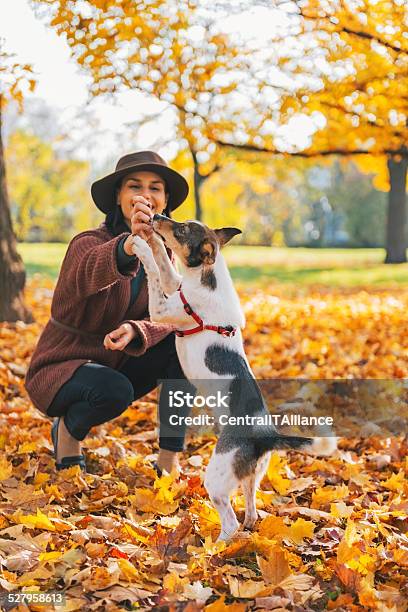 Closeup On Young Woman Playing With Dog Outdoors In Autumn Stock Photo - Download Image Now