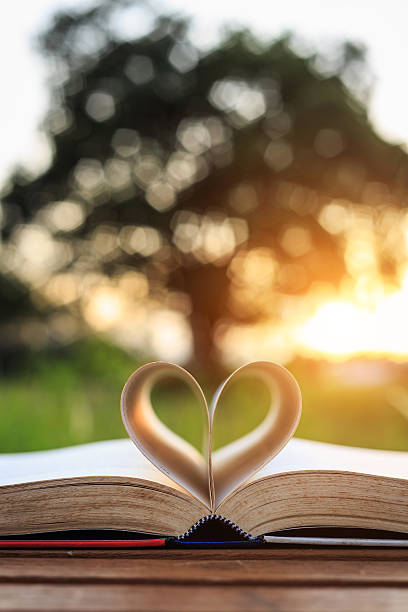 istock Close up book on table in sunset time 527959739