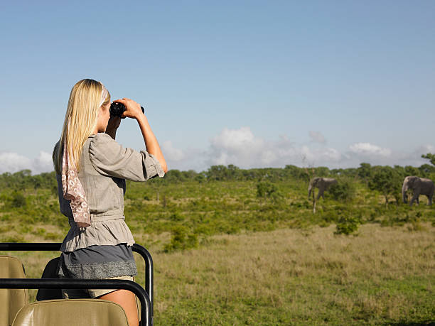 istock Blond Woman Looking Through Binoculars In Jeep 527959961