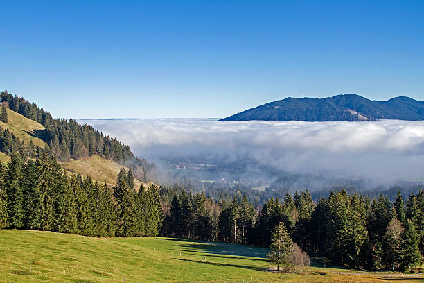 nebbia in dell " isarwinkel - inversion layer foto e immagini stock