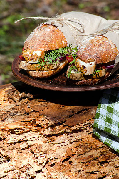 치킨 샌드위치 2개, 피크닉 - meat and alternatives dinner lunch picnic 뉴스 사진 이미지
