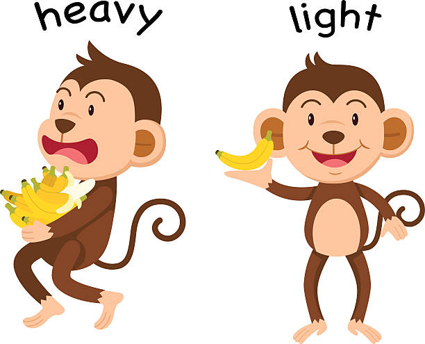 Opposite words heavy and light vector Opposite words heavy and light vector illustration clip art of a monkey holding banana stock illustrations