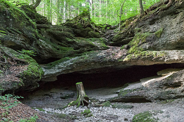 istock Badger cave in Bad Toelz 528044686