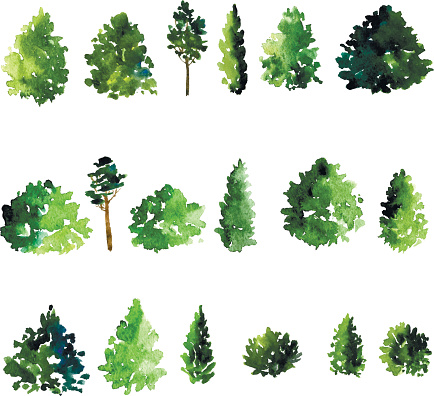 set of trees drawing by watercolor, conifer and decidious trees, green foliage, hand drawn vector illustration