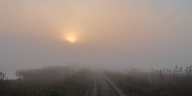 istock Misty morning. Belarus, Gomel region 528048522