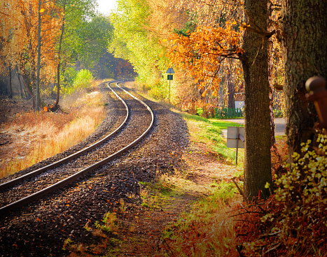 Railway through fall woods