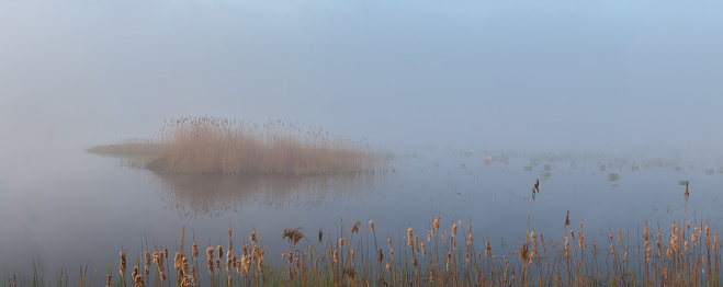 Misty morning sunrise in the IJsseldelta landscape along the river IJssel during a autumn morning in Overijssel, The Netherlands.