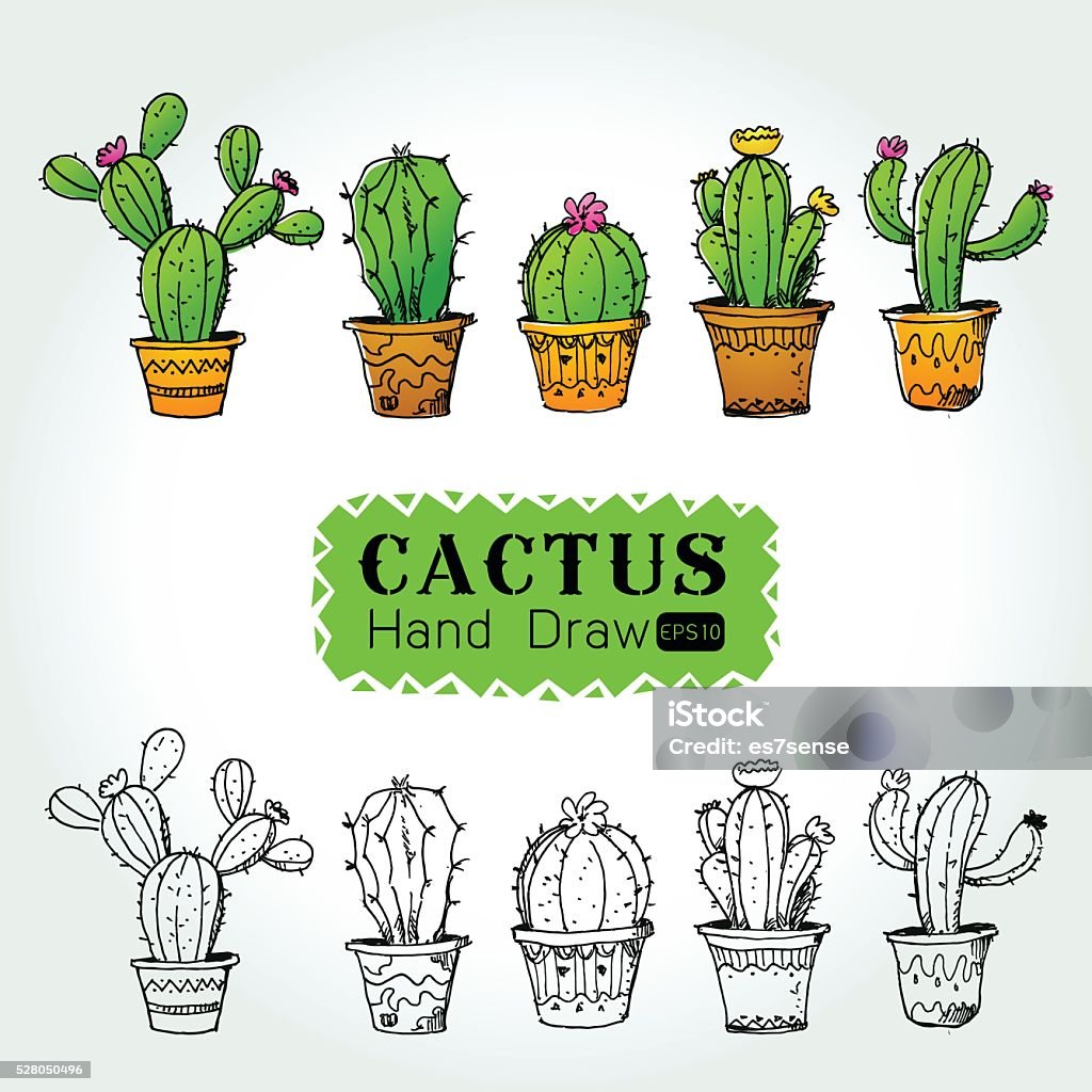 cactuses in flower pot Vector illustration Collection of cactuses in flower pot ,isolate object ,line art from hand drawing from imagination, on white background Vector illustration Botany stock vector