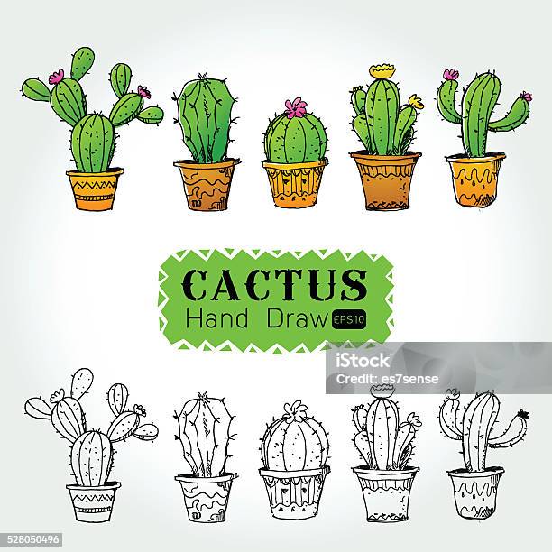 Cactuses In Flower Pot Vector Illustration Stock Illustration - Download Image Now - Botany, Business, Business Finance and Industry