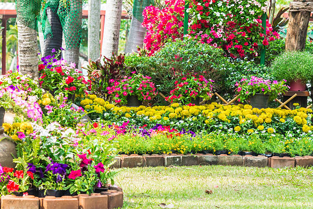 istock Flowers in the garden. 528050552