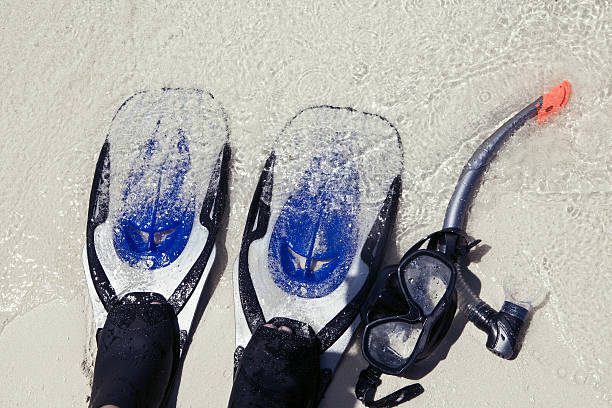 istock Accessory for Snorkeling -mask, flippers, tube-lay 528052050