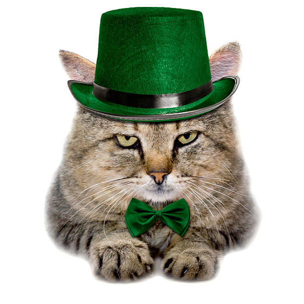 istock cat in a green hat and tie butterfly isolated 528053266