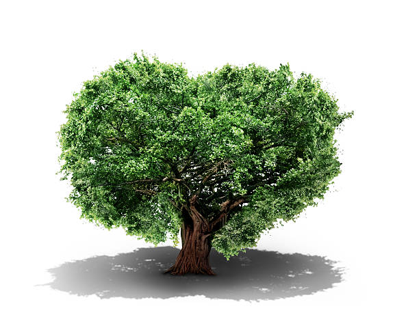 istock Concept of life. 528055590
