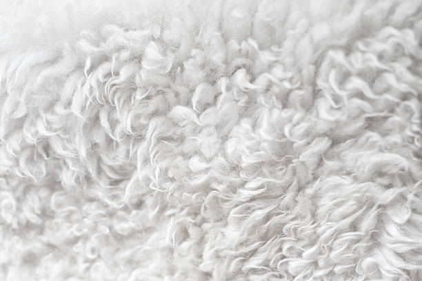 istock sheepskin close up detail background 528056752