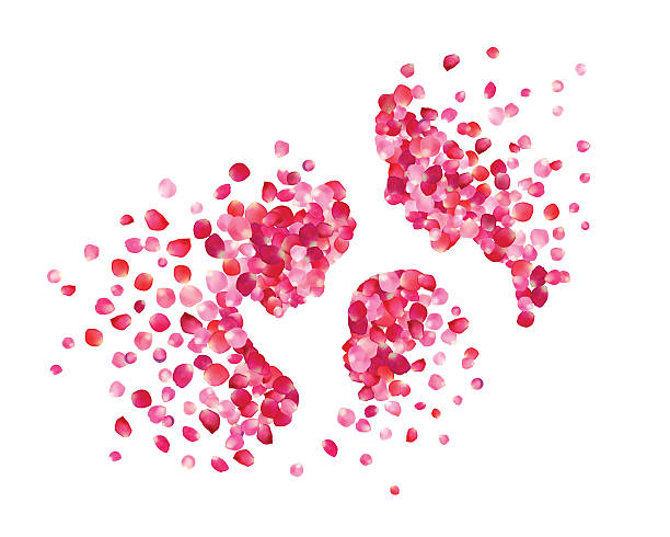family of pink rose petals family of pink rose petals. Vector illustration cute pregnant woman with gift stock illustrations