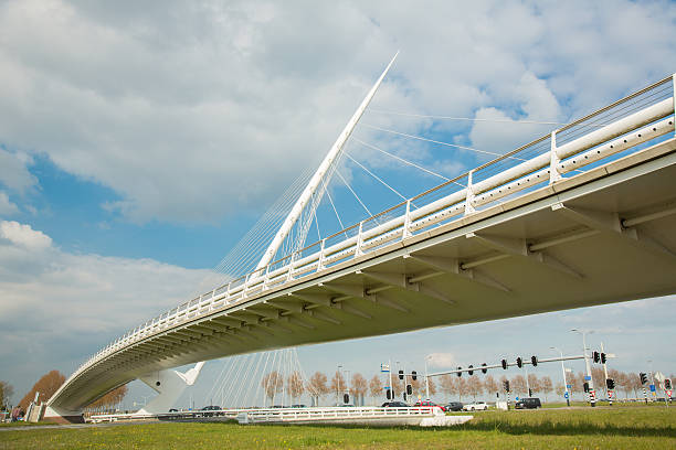 calatrava-brücke gespannfahrer, holland - cable stayed stock-fotos und bilder