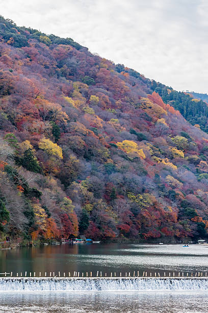 istock Autumn leaves and river 528062860