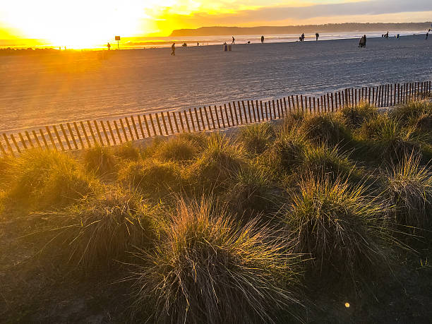 istock Sunset on Coronado Island Beach, California, USA 528063346