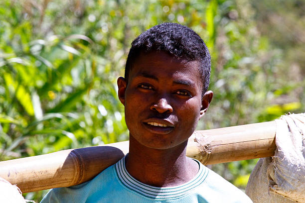istock Young Malagasy man carrying sacks of rice on bamboo stick 528065109