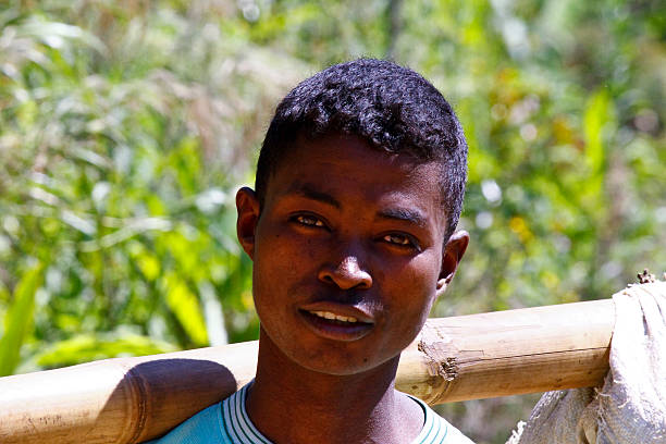istock Young Malagasy man carrying sacks of rice on bamboo stick 528065169