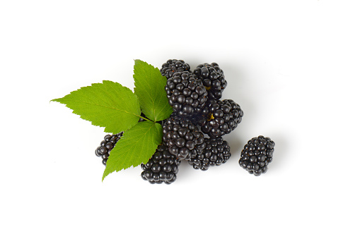 Fresh ripe blackberries and leaves on white background