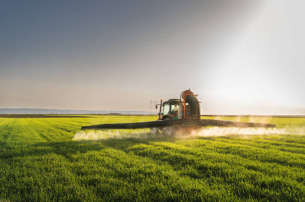 ciągnik rozpylania pole pszenicy - crop sprayer insecticide spraying agriculture zdjęcia i obrazy z banku zdjęć