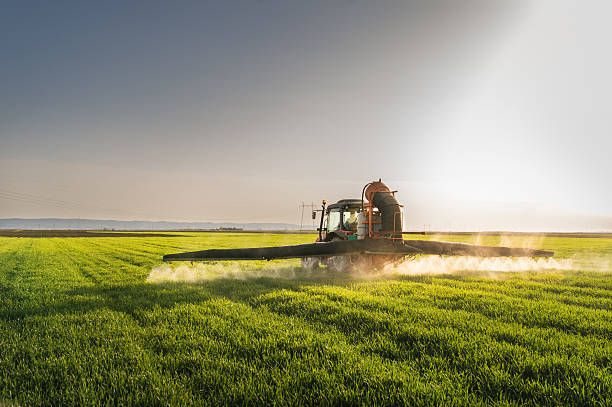 трактор распылять пшеничное поле - crop sprayer insecticide spraying agriculture стоковые фото и изображения