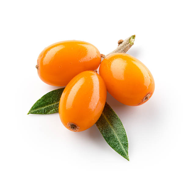 espino cerval de mar aislado sobre el blanco. con máscara de recorte. - sea buckthorn fotografías e imágenes de stock