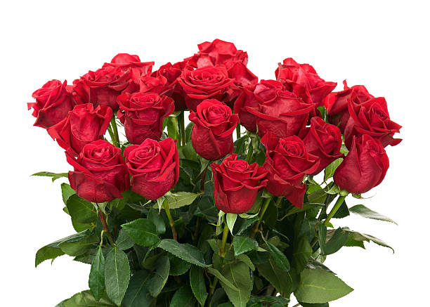 istock Colorful Flower Bouquet from Red Roses Isolated on White Backgro 528069213