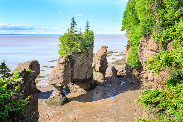 Hopewell Rocks The Hopewell Rocks are stone formations in "The Rocks Privincial Park" in New Brunswick, Canada. The rock formations were caused by tidal erosion. This area of Bay of Fundy has a maximum range of tide of more than 50 feet (16 meters) and 70 feet (21 meters) during spring tides. The largest range of tide in the world. This image taken at nearly low tide. The sea floor can be visited during low tides. The strange rock formations are also called flowerpot rocks because of their form. new brunswick canada photos stock pictures, royalty-free photos & images