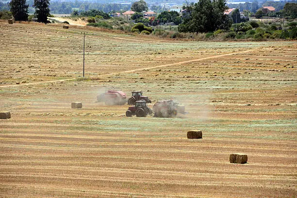 tractor is pulling a straight-line straw baling machine