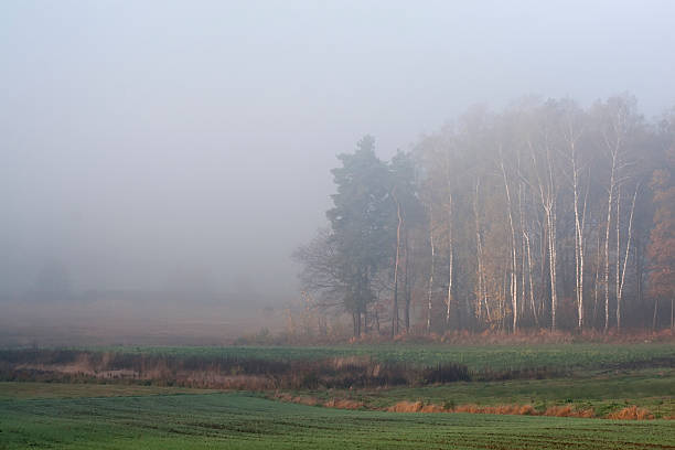 istock Autumnal landascape 528070577