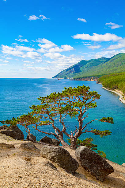istock Summer day on Lake Baikal 528072508