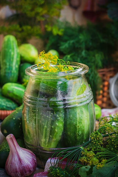 istock Jar pickles other ingredients pickling 528099797