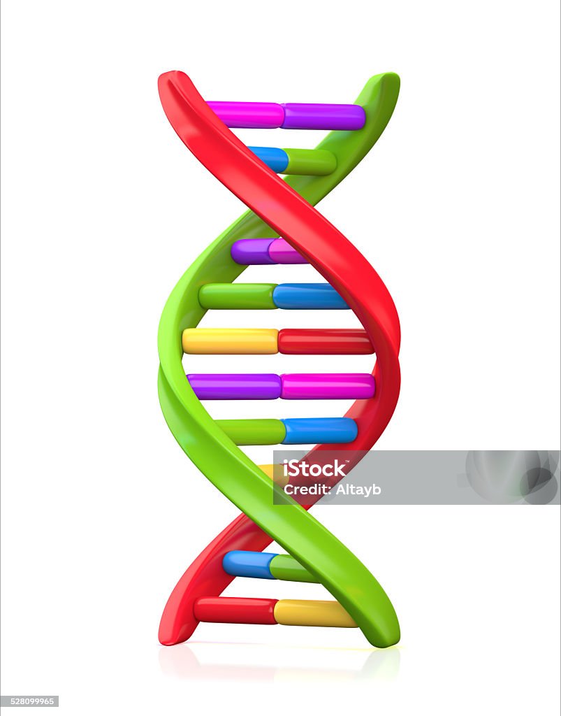 Mô Hình Dna Đầy Màu Sắc Hình ảnh Sẵn có - Tải xuống Hình ảnh Ngay ...