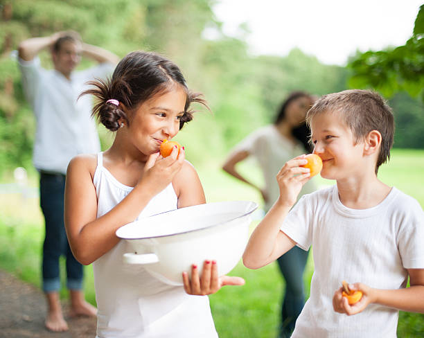 istock Brother and sister holding bowl with fresh apricots 528100099