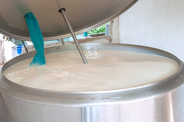 Raw milk vat stock photo