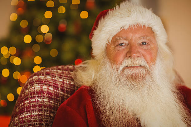istock Portrait of smiling santa claus 528102403