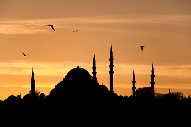 moschea di suleyman, istanbul, turchia - travel europe night dome foto e immagini stock