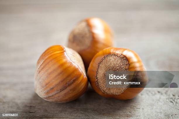 Hazelnuts Close Up Stock Photo - Download Image Now - Autumn, Brown, Close-up