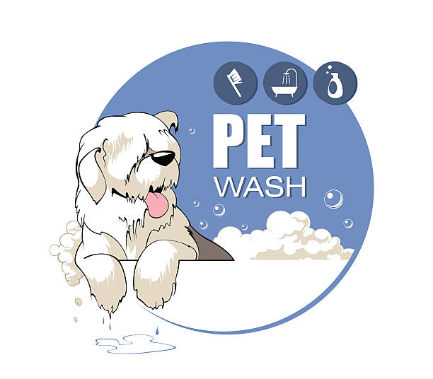 ilustrações, clipart, desenhos animados e ícones de lavagem de animais de estimação - soaking tub