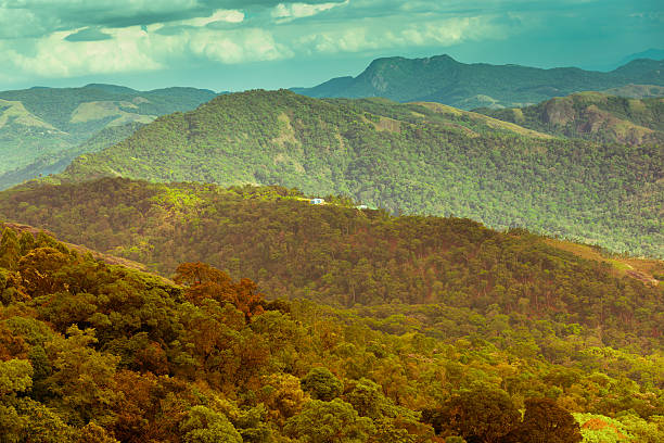 istock beautiful landscape with mountains in India, kerala, Munnar 528131891