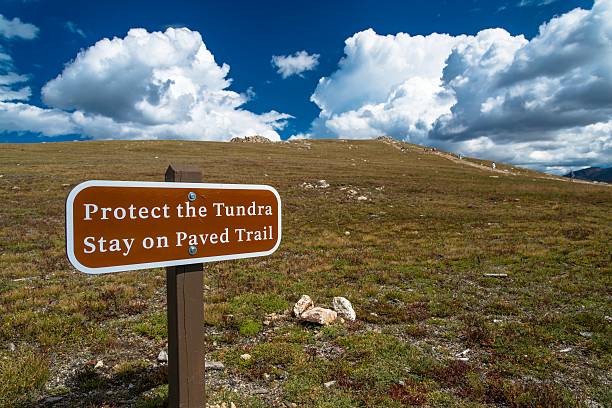 istock Rocky Mountain National Park 528132279