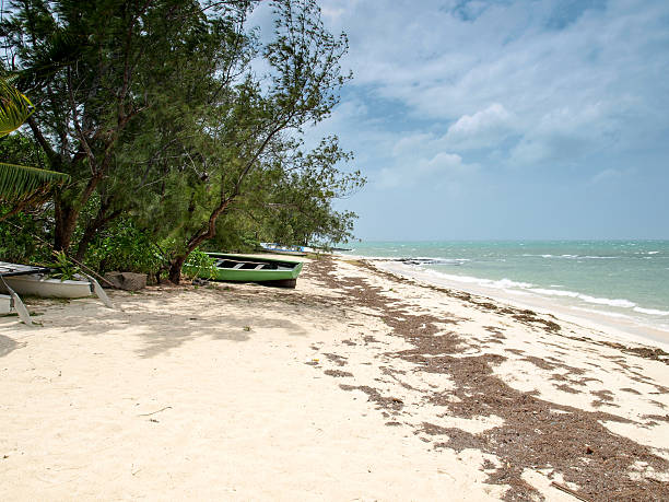 istock Beach of Roche Noir 528133069