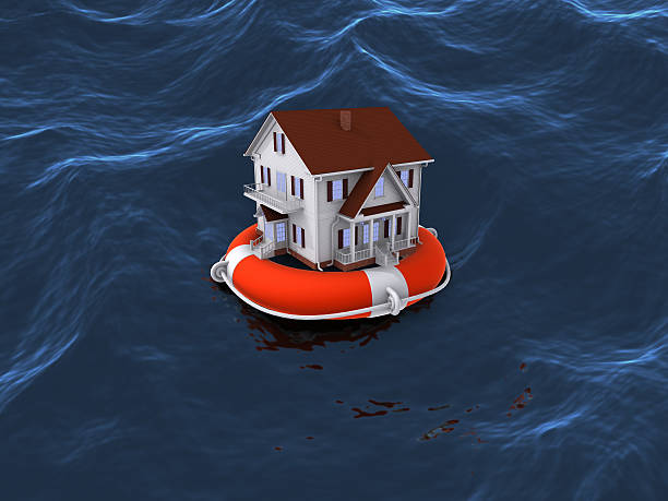 istock House on lifebuoy in water 528133259