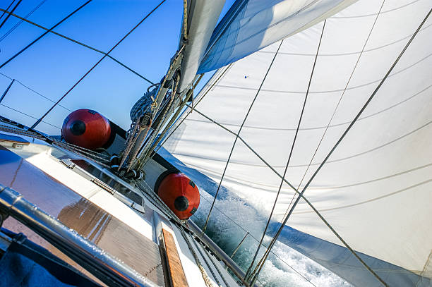 istock Sailing with sailboat on a sunny day 528133467