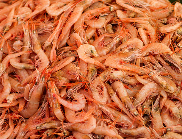istock Fresh shrimps in the fish market 528134151